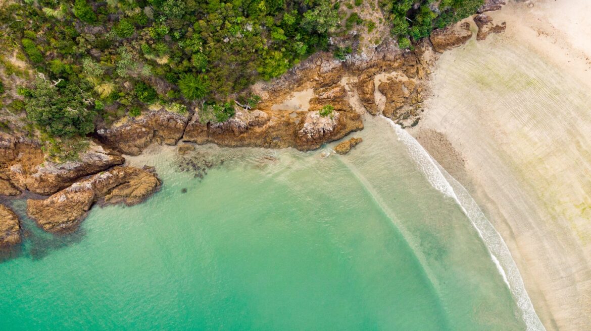 Strand på waiheke island